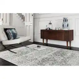 Costco Nova Antique Grey Rug, in 3 Sizes offer