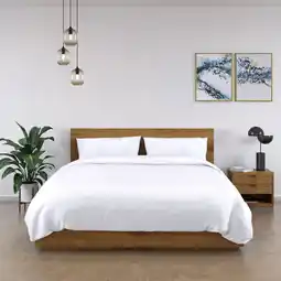 Costco Panda 100% Bamboo Duvet Cover and Pillow Case Set, in 5 colours offer