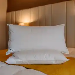 Costco Naturtex Hungarian Goose Down & Feather Pillow offer