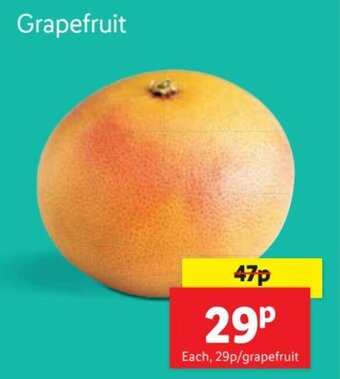 Lidl Grapefruit offer