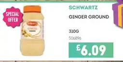 Bestway SCHWARTZ Ginger ground offer