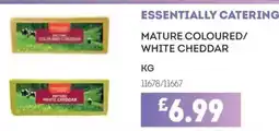 Bestway ESSENTIALLY CATERING Mature coloured/ white cheddar offer