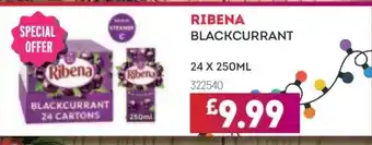 Bestway RIBENA Blackcurrant offer