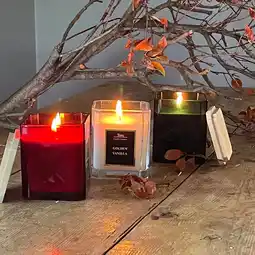 Costco Torc Fragranced Candle, 3 Pack offer