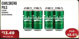 Bestway CARLSBERG PILS Cans offer