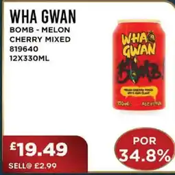 Bestway WHA GWAN Bomb - melon cherry mixed offer