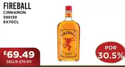 Bestway FIREBALL Cinnamon offer