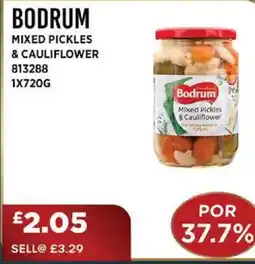 Bestway BODRUM Mixed pickles & cauliflower offer