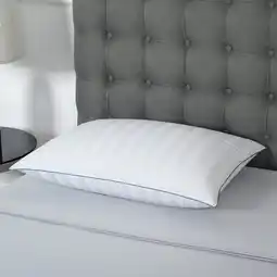 Costco Down Haven 100% Duck Down Pillow offer