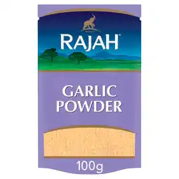 Iceland Rajah Garlic Powder Seasoning 100g offer