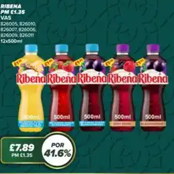 Bestway RIBENA offer