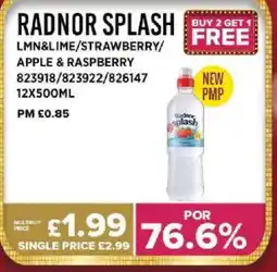 Bestway RADNOR SPLASH Lmn&lime/strawberry/ apple & raspberry offer
