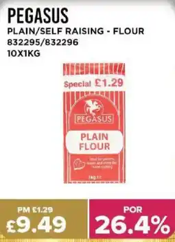 Bestway PEGASUS Plain/self raising - flour offer
