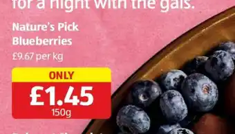 Nature’s Pick Blueberries