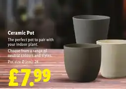 Lidl Ceramic Pot offer