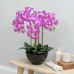 Costco Artificial Orchid in Ceramic Pot in 2 Colours offer