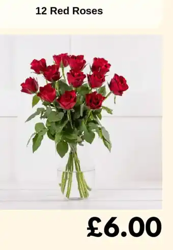 12 Red Roses