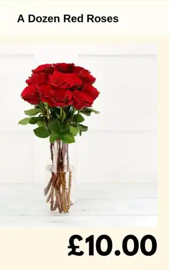 A Dozen Red Roses