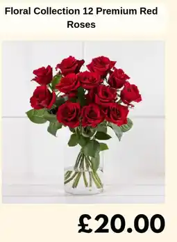 Sainsbury's Floral Collection 12 Premium Red Roses offer