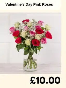 Sainsbury's Valentine's Day Pink Roses offer