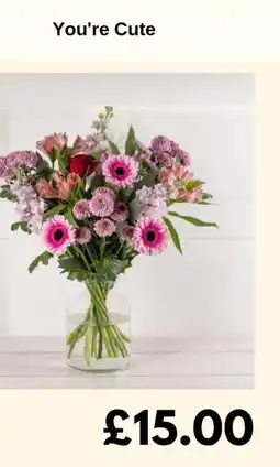 Sainsbury's You're Cute offer