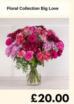 Sainsbury's Floral Collection Big Love offer