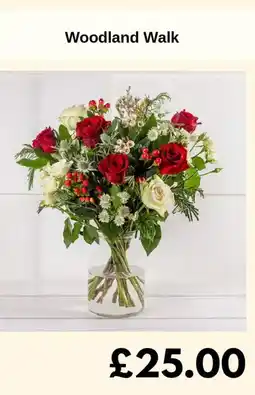 Sainsbury's Woodland Walk offer