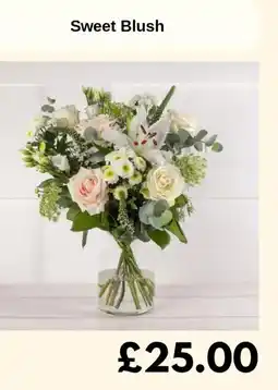 Sainsbury's Sweet Blush offer