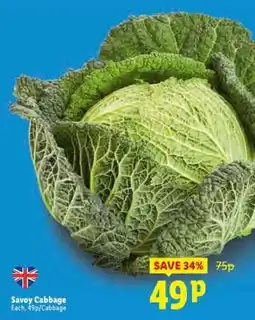 Lidl Savoy Cabbage offer