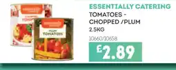 Bestway ESSENTIALLY CATERING Tomatoes - chopped/plum offer
