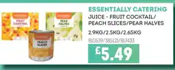 Bestway ESSENTIALLY CATERING Juice - fruit cocktail/ peach slices/pear halves offer