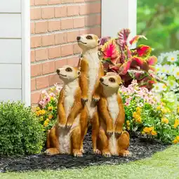 Costco Evergreen Meerkat Statue offer