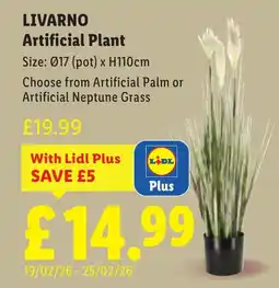 Lidl LIVARNO Artificial Plant offer