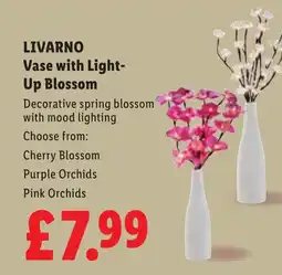 Lidl LIVARNO Vase with Light- Up Blossom offer