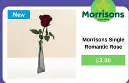 Morrisons Morrisons Single Romantic Rose offer