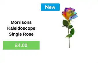 Morrisons Kaleidoscope Single Rose