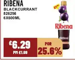 Bestway RIBENA Blackcurrant offer