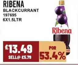 Bestway RIBENA Blackcurrant offer