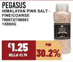 Bestway PEGASUS Himalayan pink salt - fine/coarse offer