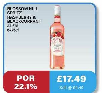 Bestway Blossom Hill Spritz Raspberry & Blackcurrant offer