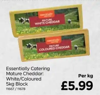 Bestway Essentially Catering Mature Cheddar: White-coloured 5kg Block offer