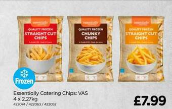 Bestway Essentially Catering Chips offer