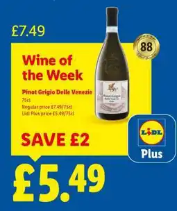 Lidl Pinot Grigio Delle Venezie offer