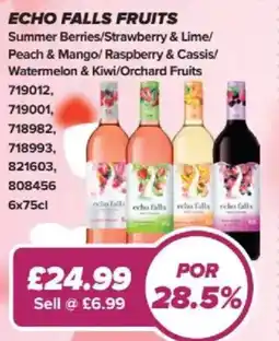 Bestway Echo Falls Fruits Summer Berries/Strawberry & Lime/ Peach & Mango/ Raspberry & Cassis/ Watermelon & Kiwi/Orchard Fruits offer