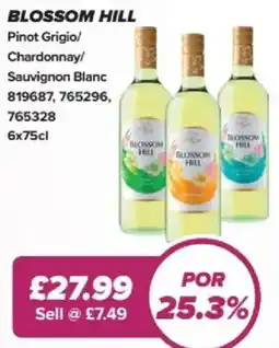 Bestway Blossom hill Pinot Grigio/ Chardonnay/ Sauvignon Blanc offer