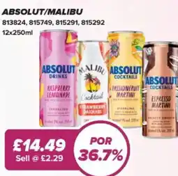 Bestway Absolut/malibu offer