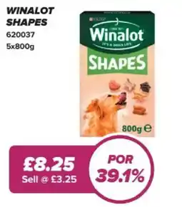 Bestway Winalot shapes offer