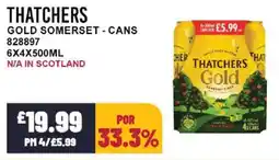 Bestway THATCHERS Gold somerset - cans offer