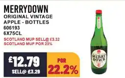 Bestway MERRYDOWN Original vintage apple - bottles offer