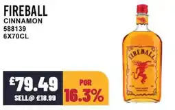 Bestway FIREBALL Cinnamon offer